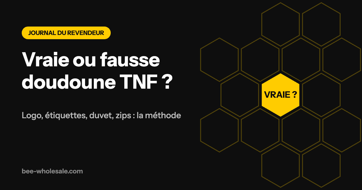 Comment reconnaître une vraie doudoune The North Face